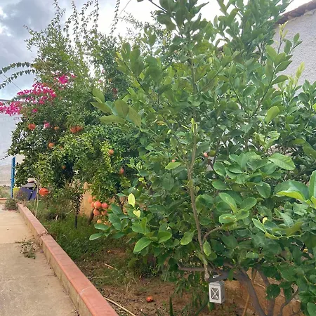 Bed & Breakfast Rosa Bella Vista *